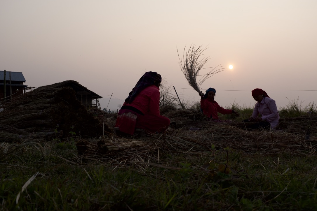 Community women making roofing materials form elephant grass.