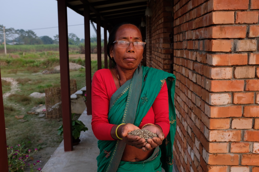 Ms Ain Kumari Kumal shows the first produce of black lentil from our land.