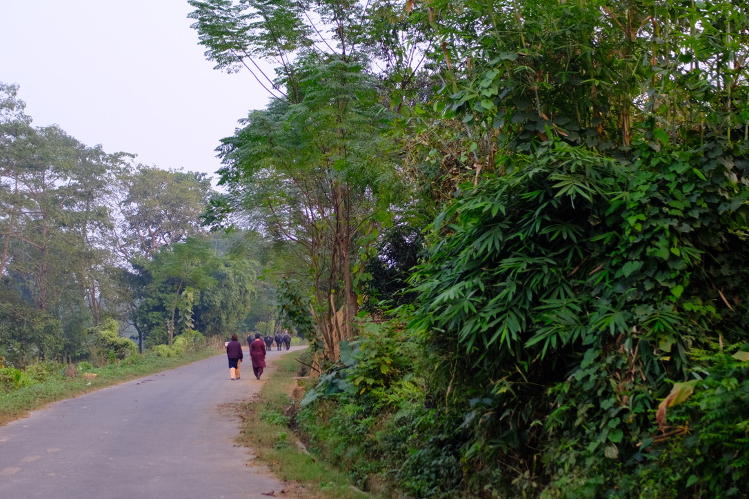 Rita Thapa and Susan Risal taking a stroll through the community of Sehari.